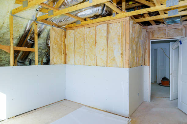 Best Eco-Friendly or Green Insulation Solutions  in Waupun, WI